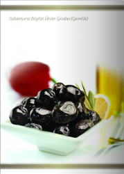 Irmak Salamura Zeytin Ürün Grubu ( Gemlik ) - Özba Gıda İnşaat San. ve Tic. Ltd. Şti. - 0412 251 11 53 - 0412 251 05 64
